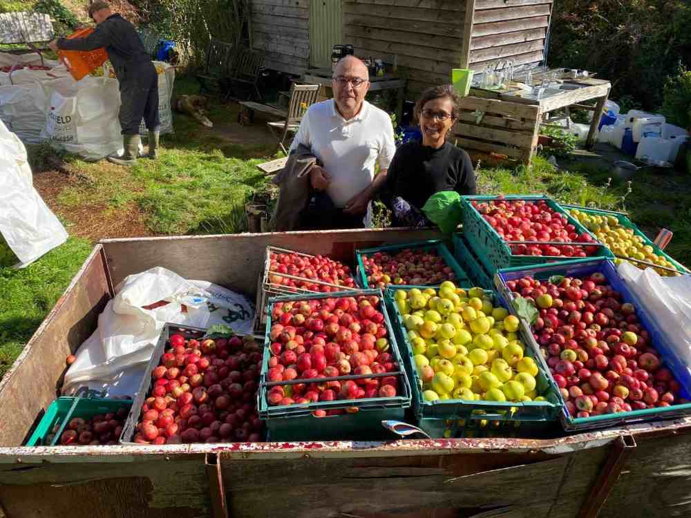 Apple Harvest & Juicing 2024 Applewood Courses