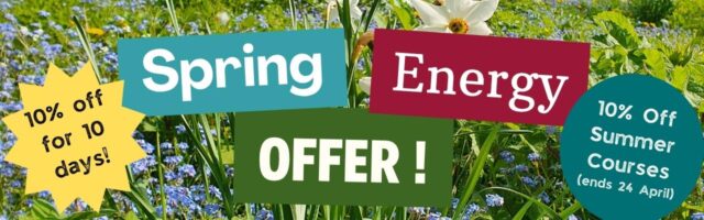 Spring Energy Offer 2026 AW web